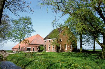 120-Oostwold-Goldhoorn-31