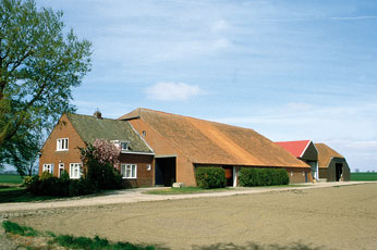 211-Finsterwolde-Reiderwolderpolder-29